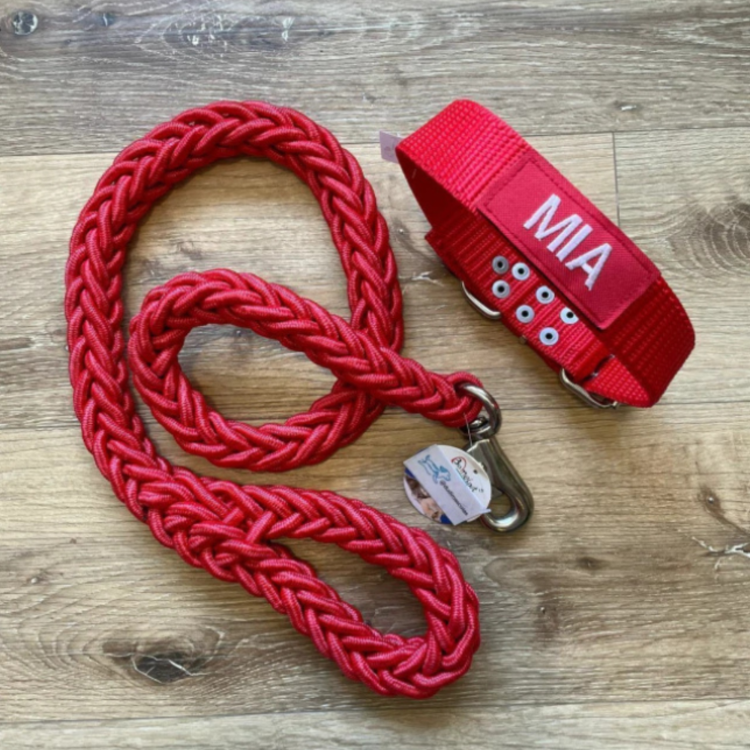 Set Collar y Correa Trenzada
